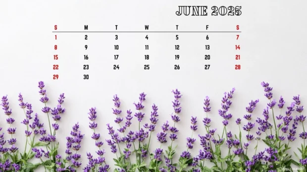 Free Download June 2025 Calendar Backgrounds for PC.
