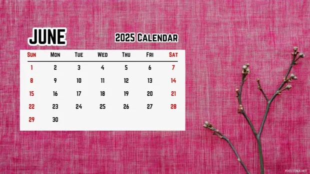 Free Download June 2025 Calendar Backgrounds for Windows.