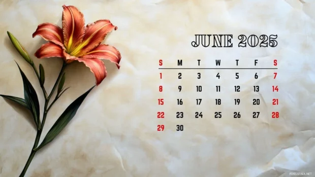 Free Download June 2025 Calendar Computer Backgrounds HD.