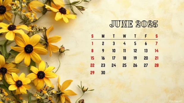 Free Download June 2025 Calendar Computer Wallpaper HD.