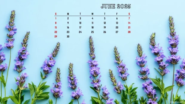 Free Download June 2025 Calendar Computer Wallpaper HD.