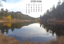 Free Download June 2025 Calendar Desktop Background Backgrounds.