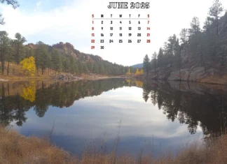 Free Download June 2025 Calendar Desktop Background Backgrounds.