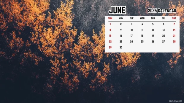 Free Download June 2025 Calendar Desktop Wallpaper HD 1080p.