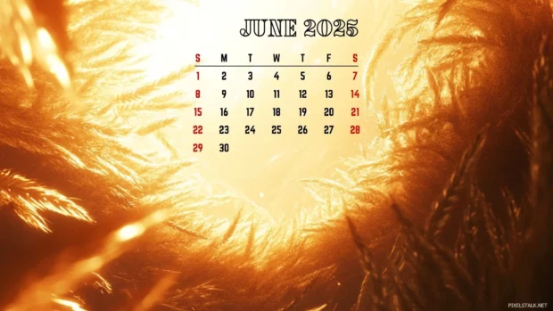 Free Download June 2025 Calendar HD Background.