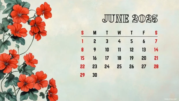 Free Download June 2025 Calendar HD Wallpaper Computer.