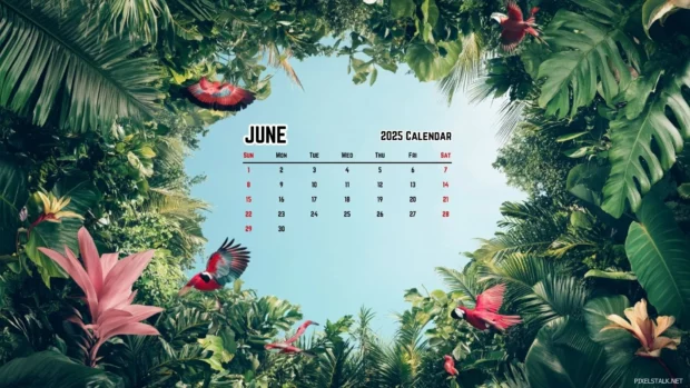 Free Download June 2025 Calendar Wallpaper Computer.