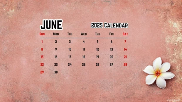 Free Download June 2025 Calendar Wallpaper HD for PC.