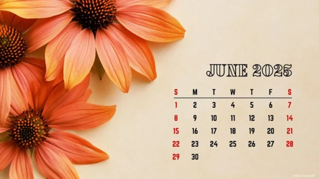 Free Download June 2025 Calendar Wallpapers for Windows.