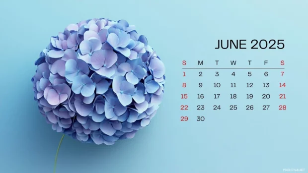 Free download June 2025 Calendar Desktop Wallpaper.