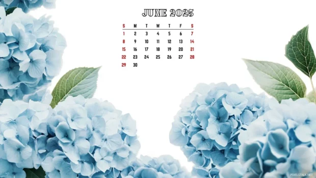 Free download June 2025 Calendar Desktop Wallpaper HD.