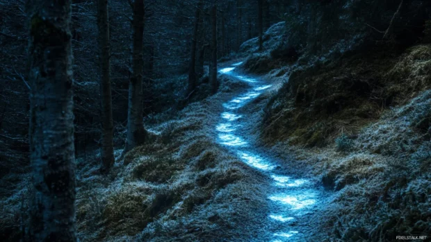 Frosted forest trail glowing in the moonlight.