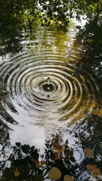 Gentle ripples spreading outward from a single drop in water.