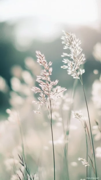 Gentle summer breeze with pastel tones, light and fresh design inspired by summer iphone wallpaper background.