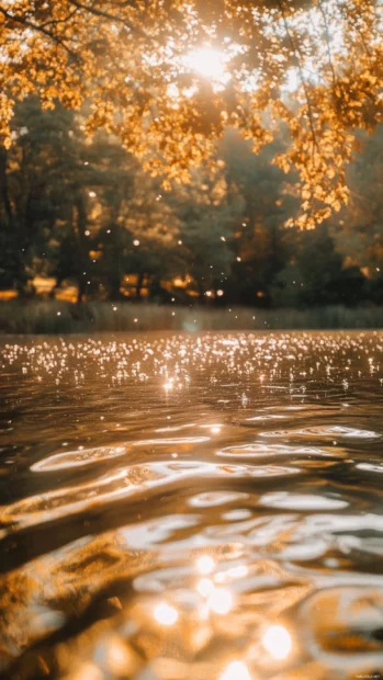 Golden Summer Vibes envelop a quiet lakeside with ripples sparkling under the midday sun.