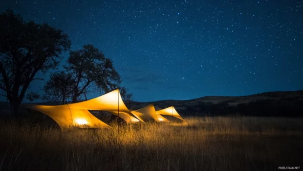 Golden fields sleeping beneath velvet star canopies.