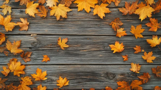 Golden maple leaves scattered on a wooden bench, perfect for cozy Fall PC Wallpapers.