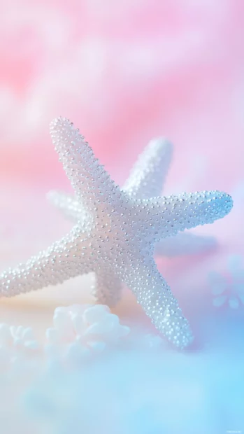 In the middle of a soft pastel gradient background transitioning from pink to light blue sits a bold silver star, creating a dreamy and calming atmosphere.
