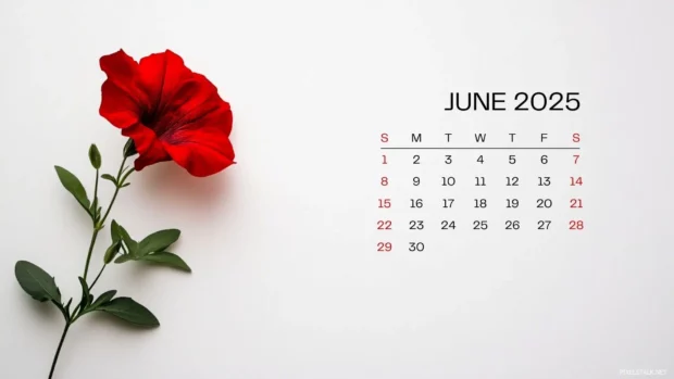 June 2025 Calendar Backgrounds HD Free download.