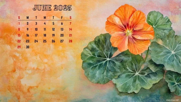 June 2025 Calendar Backgrounds HD for Windows.