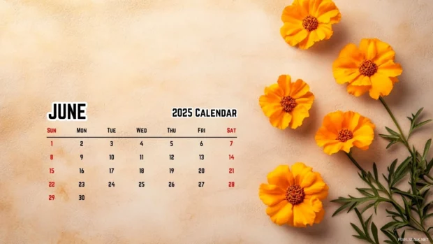 June 2025 Calendar Backgrounds for Windows.
