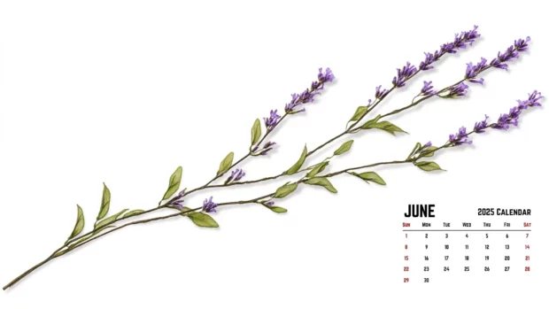 June 2025 Calendar Computer Wallpaper.