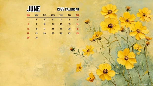 June 2025 Calendar Computer Wallpaper HD.