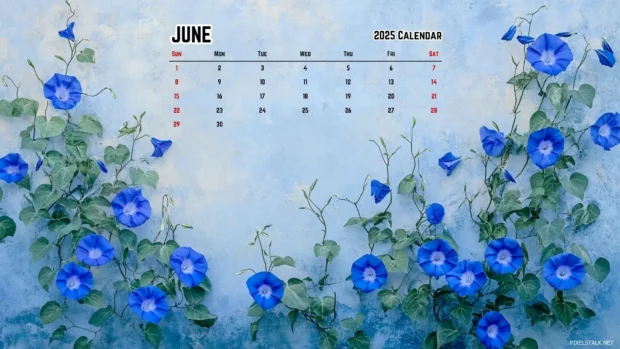 June 2025 Calendar Desktop Background Backgrounds.