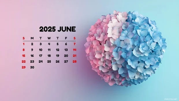 June 2025 Calendar Desktop HD Wallpaper Free download.