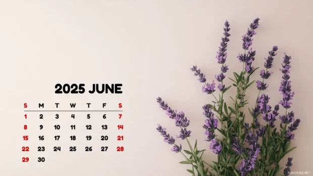 June 2025 Calendar Desktop Wallpaper Free Download.