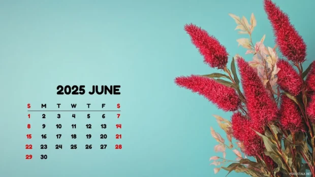 June 2025 Calendar Desktop Wallpaper HD Free download.