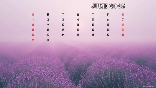 June 2025 Calendar Desktop Wallpaper HD Free download.