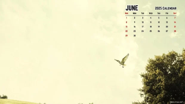 June 2025 Calendar Desktop Wallpaper for Mac.