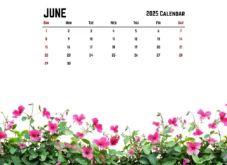 June 2025 Calendar Wallpaper 1080p.