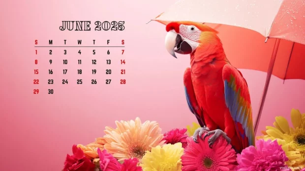 June 2025 Calendar Wallpaper 1920x1080.