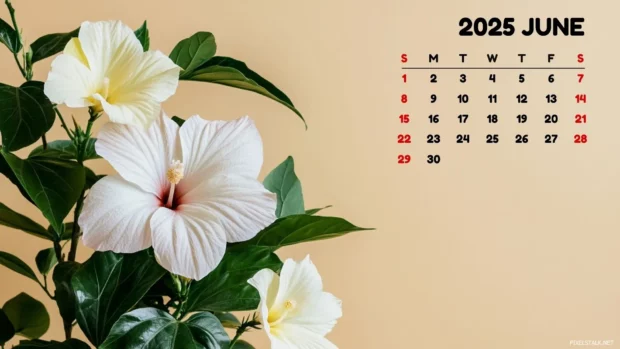 June 2025 Calendar Wallpaper.