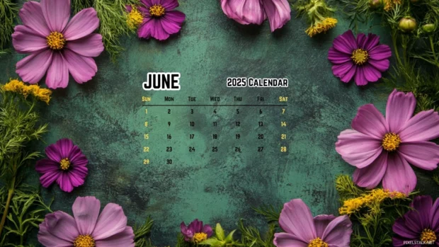 June 2025 Calendar Wallpaper HD for Mac.
