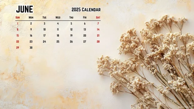 June 2025 Calendar Wallpaper HD for PC.