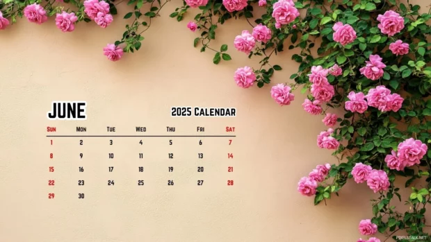 June 2025 Calendar Wallpaper HD for Windows.