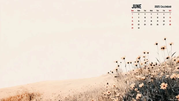 June 2025 Calendar Wallpaper for PC.