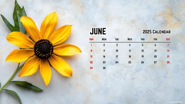 June 2025 Calendar Wallpaper for PC.