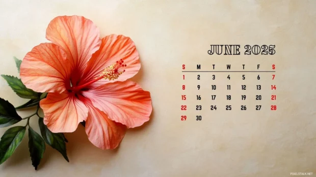 June 2025 Calendar Wallpapers HD for Mac.