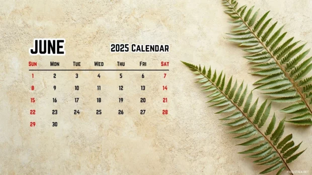 June 2025 Calendar Wide Screen Wallpaper HD.
