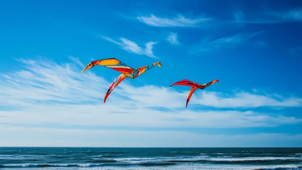 Kites soaring high above Beautifull Ocean beach.