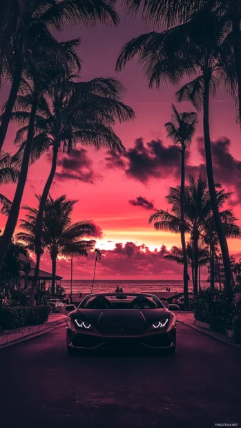 Lamborghini framed between palm trees and a pink evening sky.