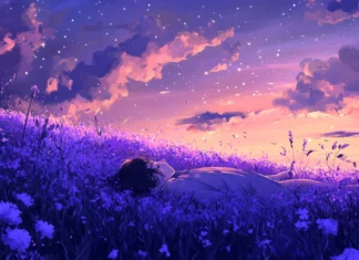 Lavender dunes sleeping beneath purple stars.
