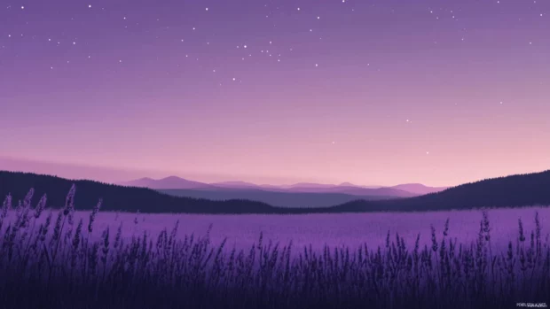 Lavender fields breathing under faded constellations.