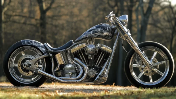 Low angle view of Harley Davidson chopper in the wild, best Harley Davidson background for PC users.