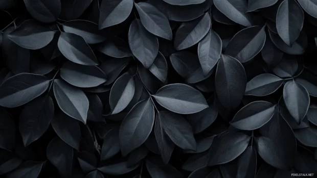 Matte black Lock screen Wallpapers for an ultra sleek and modern look, black minimalist desktop lock screens.