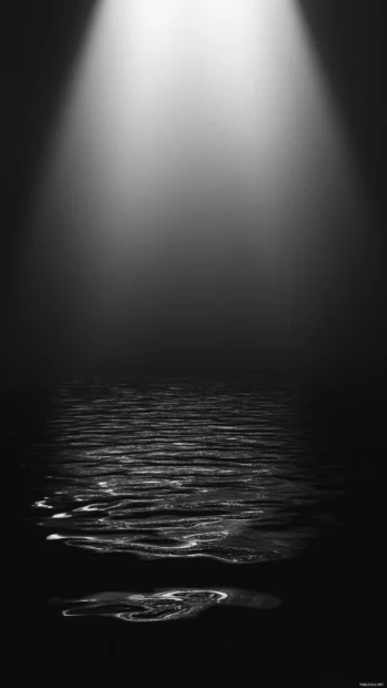 Minimal light pulses beating calmly on a dark screen.